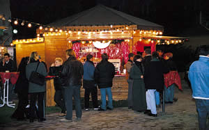 Auf dem Weihnachtsmarkt finden Sie eine Vielzahl von Attraktionen und Handwerksständen. Von handgefertigten Geschenken und Weihnachtsschmuck bis zu regionalen Spezialitäten können Sie hier einzigartige Souvenirs und kulinarische Köstlichkeiten entdecken.